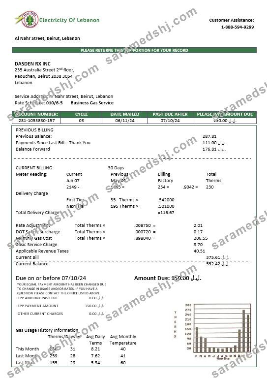 Lebanon Electricity of Lebanon business utility bill template in Word and PDF formats
